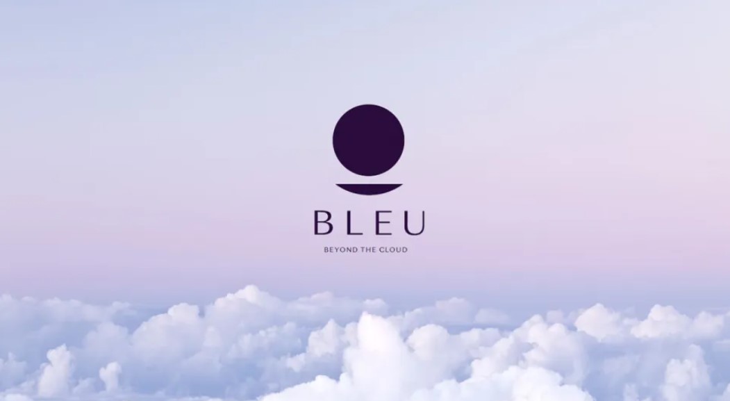 Le logo de BLEU