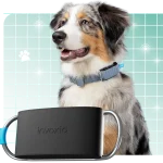 Vue du collier d'Invoxia